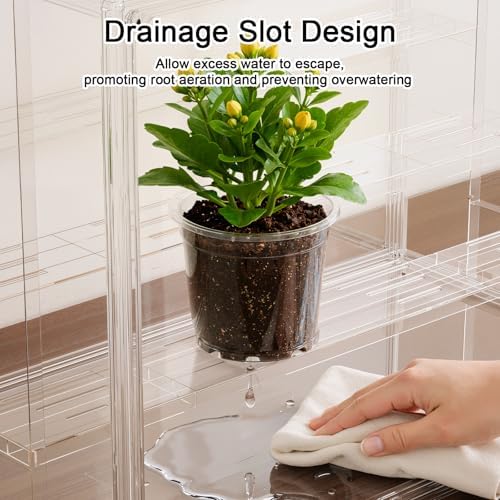 clear mini indoor greenhouse, with hygrometer and grow on a desk or shelf