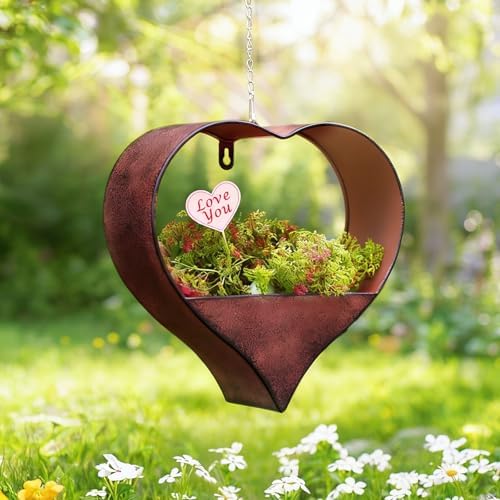metal plant hangers indoor and outdoor: birthday gifts on a desk or shelf