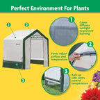 miracle-gro walk-in indoor/outdoor greenhouse, clear, 6 x 4 on a desk or shelf