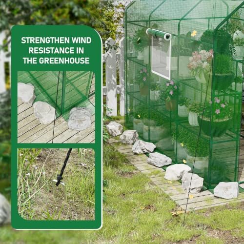 specilite 56×85×77inch walk-in greenhouse for outdoors garden plant, side view