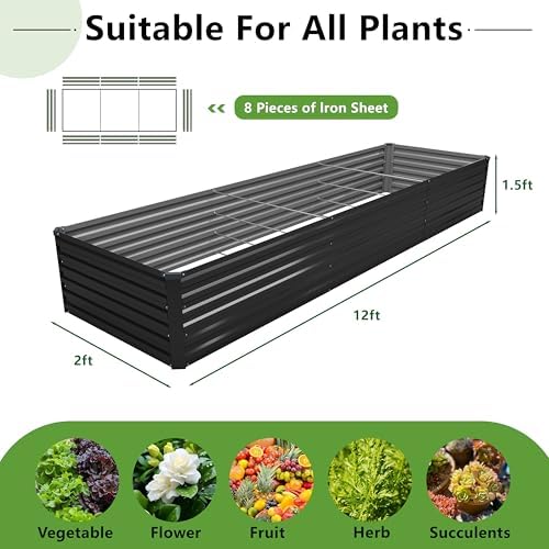 diiyiv 12x2x1.5ft galvanized raised garden bed,vegetable boxes-rectangle metal shown in use