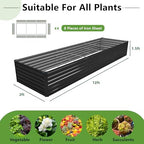 diiyiv 12x2x1.5ft galvanized raised garden bed,vegetable boxes-rectangle metal shown in use