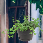 ganazono home decor outdoor decor 3 pcs plastic shown in use