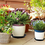 9 Pack Black Plant Pot Saucers, 8 10 12 Inch Heavy Duty PP Trays | Plant Watering Trays for Indoor & Outdoor Flower Pots