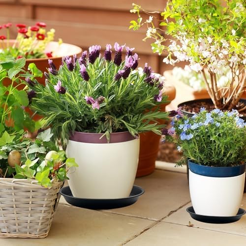 9 Pack Black Plant Pot Saucers, 8 10 12 Inch Heavy Duty PP Trays | Plant Watering Trays for Indoor & Outdoor Flower Pots