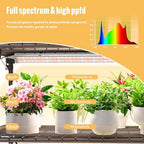 indoor greenhouse with grow light, 4-tier shelf, 26.4x19x61in showing dimensions