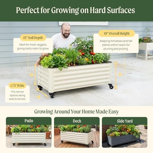 vego garden classic rolling citrus tree planter – shown in use