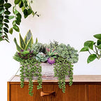 assorted artificial succulents fake plants in rectangular wooden, side view
