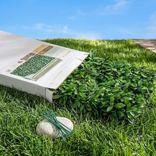 natrahedge 20''x50'' artificial privacy grass wall decor, laurel on a desk or shelf