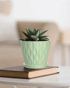 6 Inch Plant Pots, 6 Pack Indoor Flower Pots, Planters with Drainage Holes and Trays for Orchids, Violets, Succulents, Herbs, and Other Plants,Green