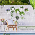3 packs wall planters for indoor plants, 5.9inch, front angle view