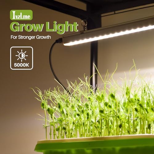 2-tier desktop indoor greenhouse with grow light, 11.8x23.6x23.6, side view