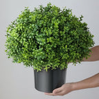 artificial boxwood topiary ball trees for front door, package contents
