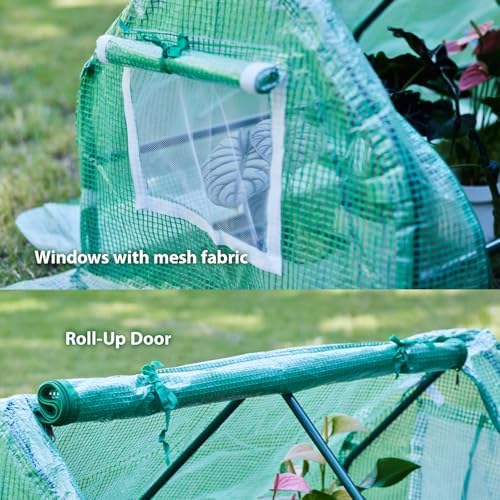 solayis mini greenhouse kit, 47.2" l x 23.6", front angle view