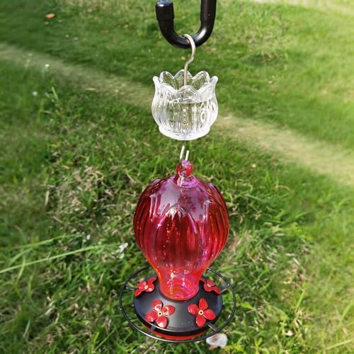 3oz Glass Ant Moat for Hummingbird Feeder, Clear Tulip Insect Guard | Stainless Hooks, Floral Buffer, Nectar Protector, Water Barrier Blocking Bugs, 3 Ounce/90ml Capacity