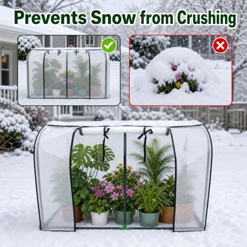 portable mini greenhouse, 55x32x28 inches pe cover with on a desk or shelf