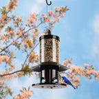 squirrel-proof bird feeder for outdoor hanging wild bird showing dimensions