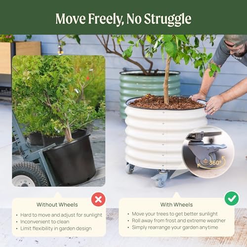 rolling metal citrus tree planter pot, 24″ round, close-up detail
