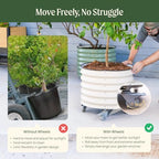 rolling metal citrus tree planter pot, 24″ round, close-up detail