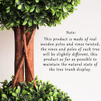 lifelike indoor&outdoor use 3ft boxwood double ball topiary on a desk or shelf