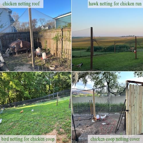 bird netting for chicken coop 50x50 ft, 1", side view