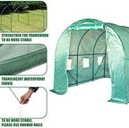 fdw portable greenhouse (l9.83'xw6.42'xh6.33') indoor outdoor large plant, side view