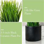 mygift tabletop artificial grass plants decorative faux greenery shown in use