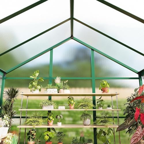 greenhouse, 6x8 ft greenhouse for outdoors, walk-in green on a desk or shelf