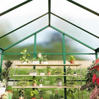 greenhouse, 6x8 ft greenhouse for outdoors, walk-in green on a desk or shelf