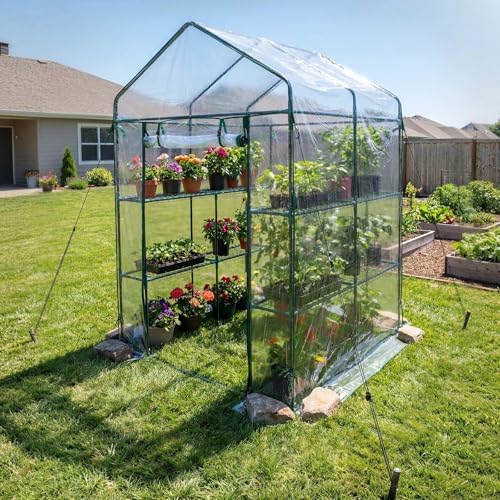 vevor walk-in greenhouse, 54" x 54" x 77.2", front angle view