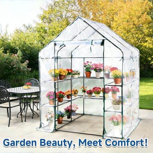 sungift walk-in greenhouse kit, upgraded pvc clear, 57x61x80 on a desk or shelf