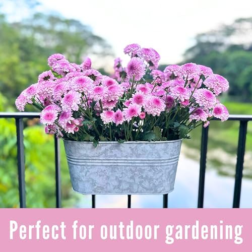 lalagreen rail planter (11.2 in, 6 pack) silver, package contents
