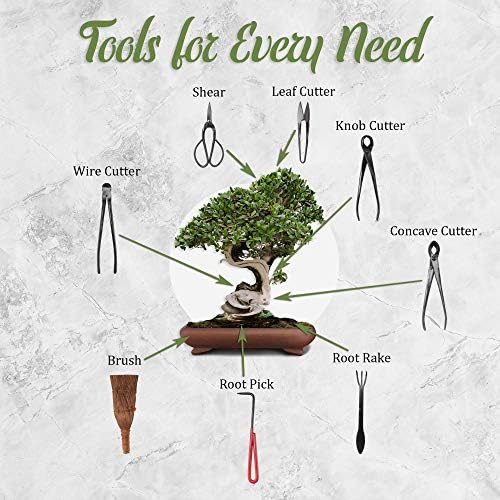 bamboomn 10pc bonsai set, shears, concave cutter, knob, close-up detail