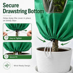 95 x 95 inch plant covers with clear on a desk or shelf