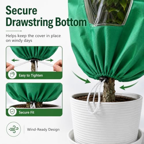 95 x 95 inch plant covers with clear on a desk or shelf