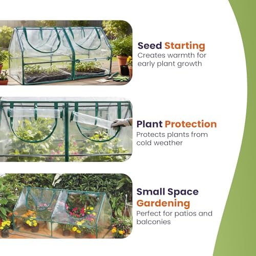 garden cold frame greenhouse cloche on a desk or shelf