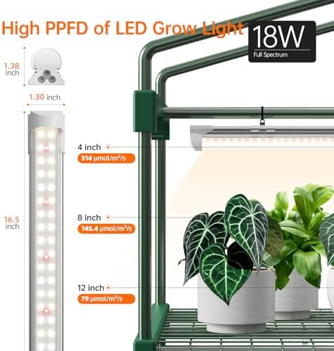 bstrip 4-tier indoor greenhouse with grow lights, seed showing dimensions