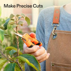 VIVOSUN 6.5 Inch Garden Scissors, Orange Pruning Shears for Plants, 2-Pack | Straight Precision Stainless Steel Blades, Comfort Ergonomic Grips, Ideal Snip for Deadheading, Trimming & Shaping Plants