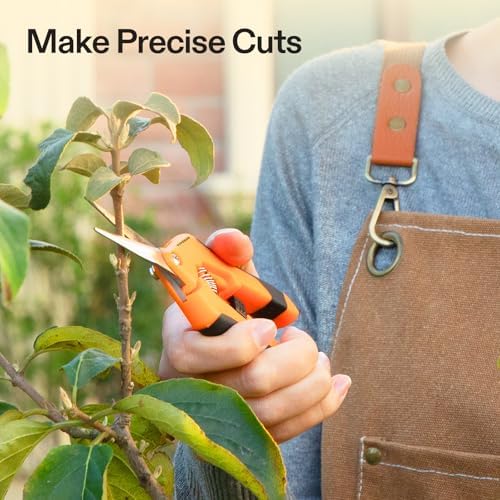 VIVOSUN 6.5 Inch Garden Scissors, Orange Pruning Shears for Plants, 2-Pack | Straight Precision Stainless Steel Blades, Comfort Ergonomic Grips, Ideal Snip for Deadheading, Trimming & Shaping Plants