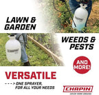 chapin 20024 surespray 2-gallon pump sprayer for lawn, package contents