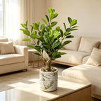 20.5 inch artificial ficus tree in cement pot showing dimensions