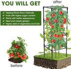 tomato cages, square tomato plant stakes support cages, side view