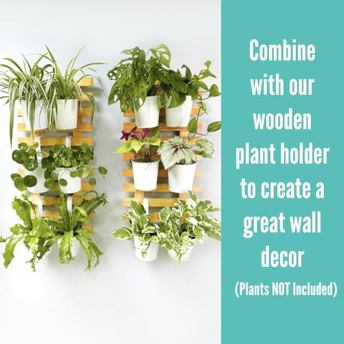 lalagreen round rail planter (6 in, 12 pack) on a desk or shelf