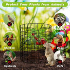 plant protectors from animals wire plant protector cage showing dimensions
