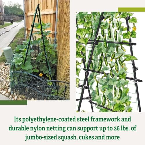 gardener's supply company titan a-frame trellis | strong on a desk or shelf