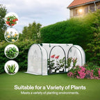 vivosun portable mini greenhouse 47x23x23-inch tunnels, pe cover on a desk or shelf