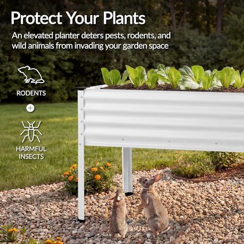 best choice products 48x24x30in galvanized raised garden bed, front angle view