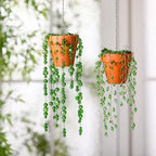 suncalla 2 pcs beaded plant suncatche glass leaf shown in use