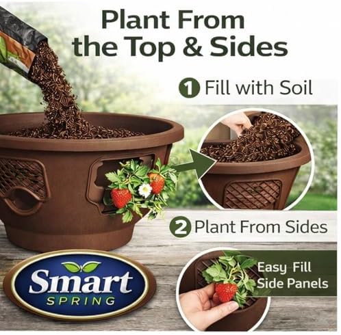 ultimate hanging baskets - strawberry, tomato, flower, and, close-up detail