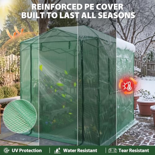 eagle peak 8x6 easy setup pop up greenhouse on a desk or shelf
